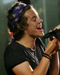 Harry Styles 