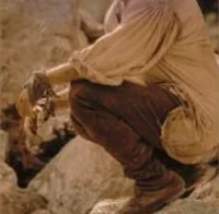 NEWT 