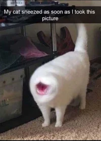 Minecraft Horror