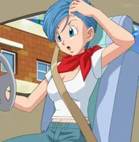 Bulma brief 