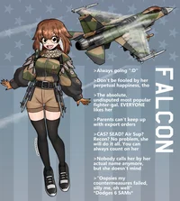 F-16 Falcon Pilot