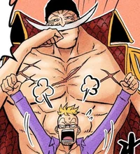 Whitebeard