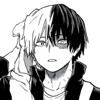 Shoto Todoroki