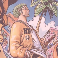 OP roronoa zoro
