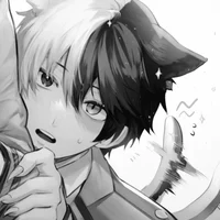 MHA - Shoto Todoroki