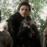 ASOIAF Robb S