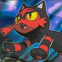 Litten 