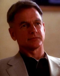 Leroy Jethro Gibbs