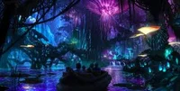 Pandora