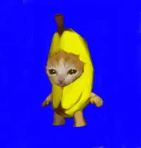 Banana cat