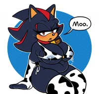 Shadow the Hedhehog
