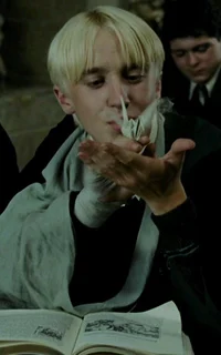 Draco Lucius Malfoy