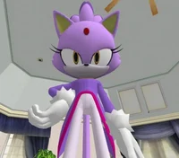 Blaze the cat 