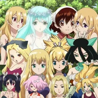 Dr Stone Girls Harem