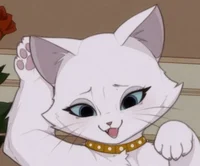 Duchess