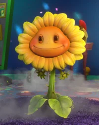 High ass Sunflower