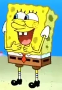 Spongetard