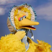 Big bird