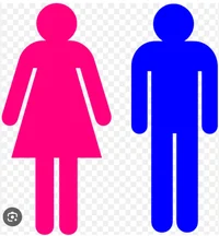 Genderbend System