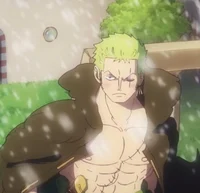 Zoro Roronoa 