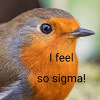 Sigma bird