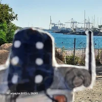 EARTHMOVER THR-10000