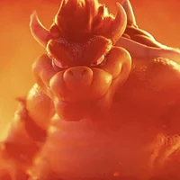 Bowser