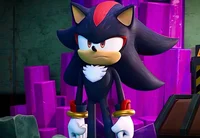Shadow the Hedgehog