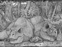Rex Family