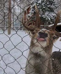 Marauders - James FP