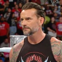CM PUNK