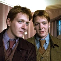 Gemelos Fred yGeorge