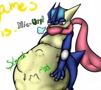 Greninja F -Vbot-