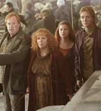 Weasley Family