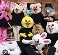 Stray  kids 