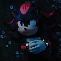 Shadow The Hedgehog 