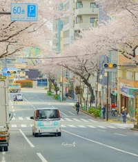 Japan style
