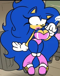 Sonica the Hedgehog