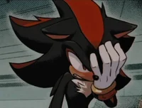 Shadow The Hedgehog