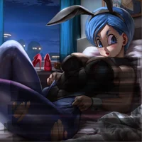 Bulma Brief