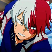 Shoto Todoroki