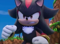 Shadow the hedgehog
