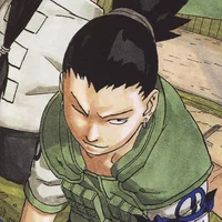 SHIKAMARU NARA