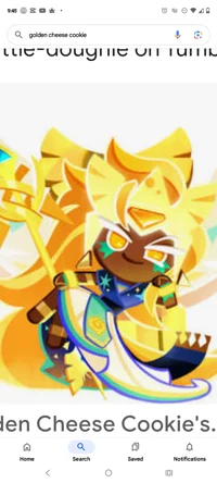 Golden Cheese Cookie