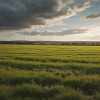 What looks different