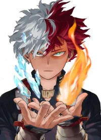 Shoto Todoroki