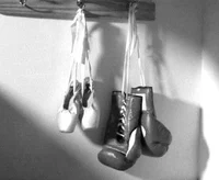 BOXER