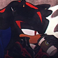 Shadow The Hedgehog