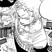 roronoa zoro