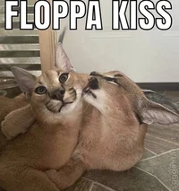 Floppa 